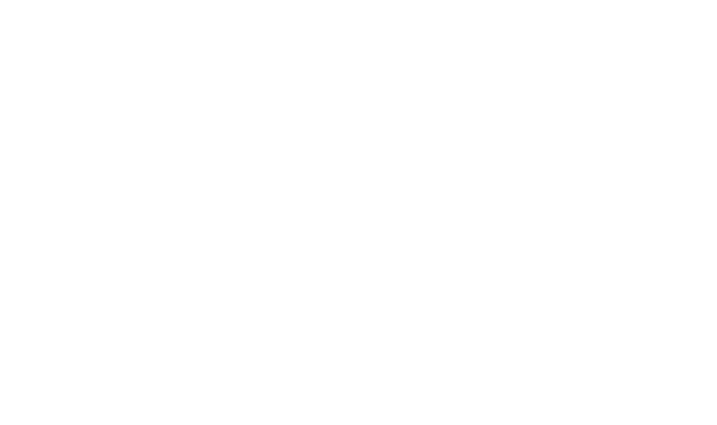 Logo and branding Wisepath Financial Services